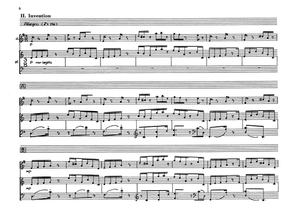 花鳥画譜 天・地 沼田荷舟 【書込みあり】 古美術もりみや/浮世絵