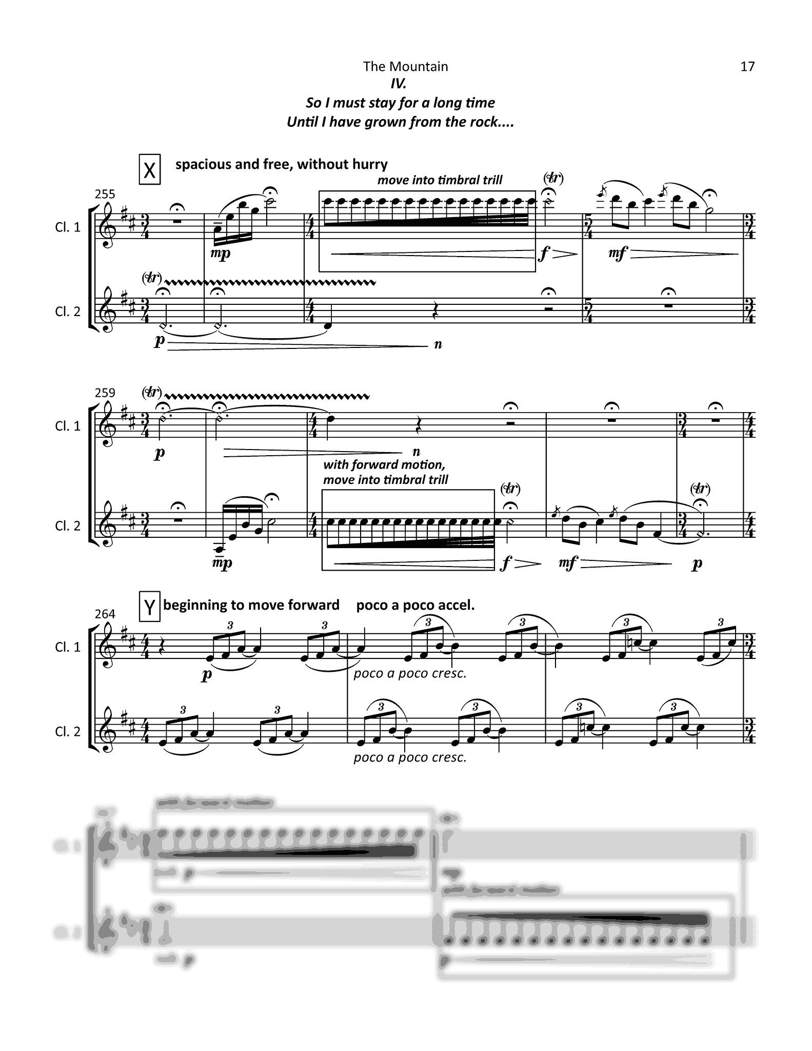 Brandon, Jenni_The Mountain Brandon The Mountain clarinet duet - Movement 4