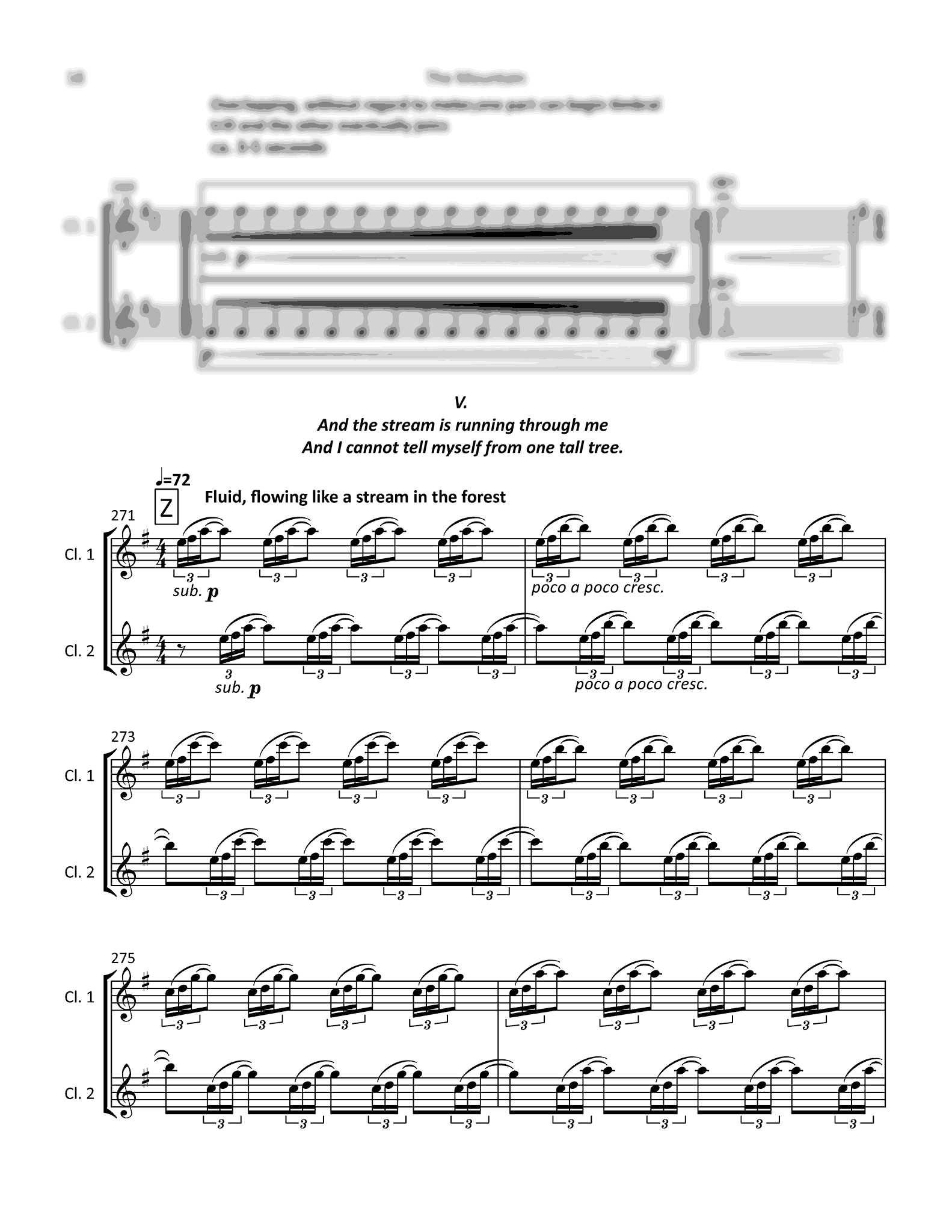 Brandon, Jenni_The Mountain Brandon The Mountain clarinet duet - Movement 5